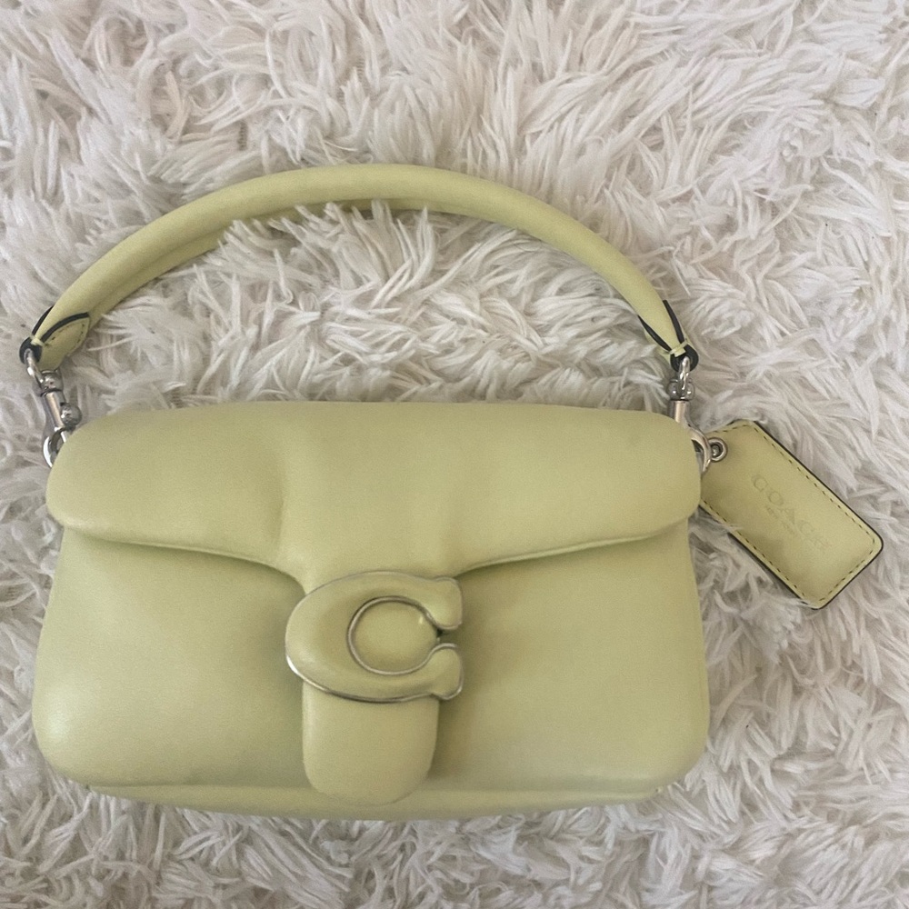 Rare Pale Lime Coach Pillow Tabby 18